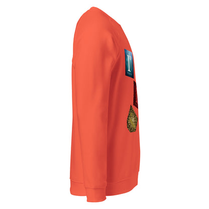 rushFront sweatshirt raglan limitededition grey white orange burgundy 