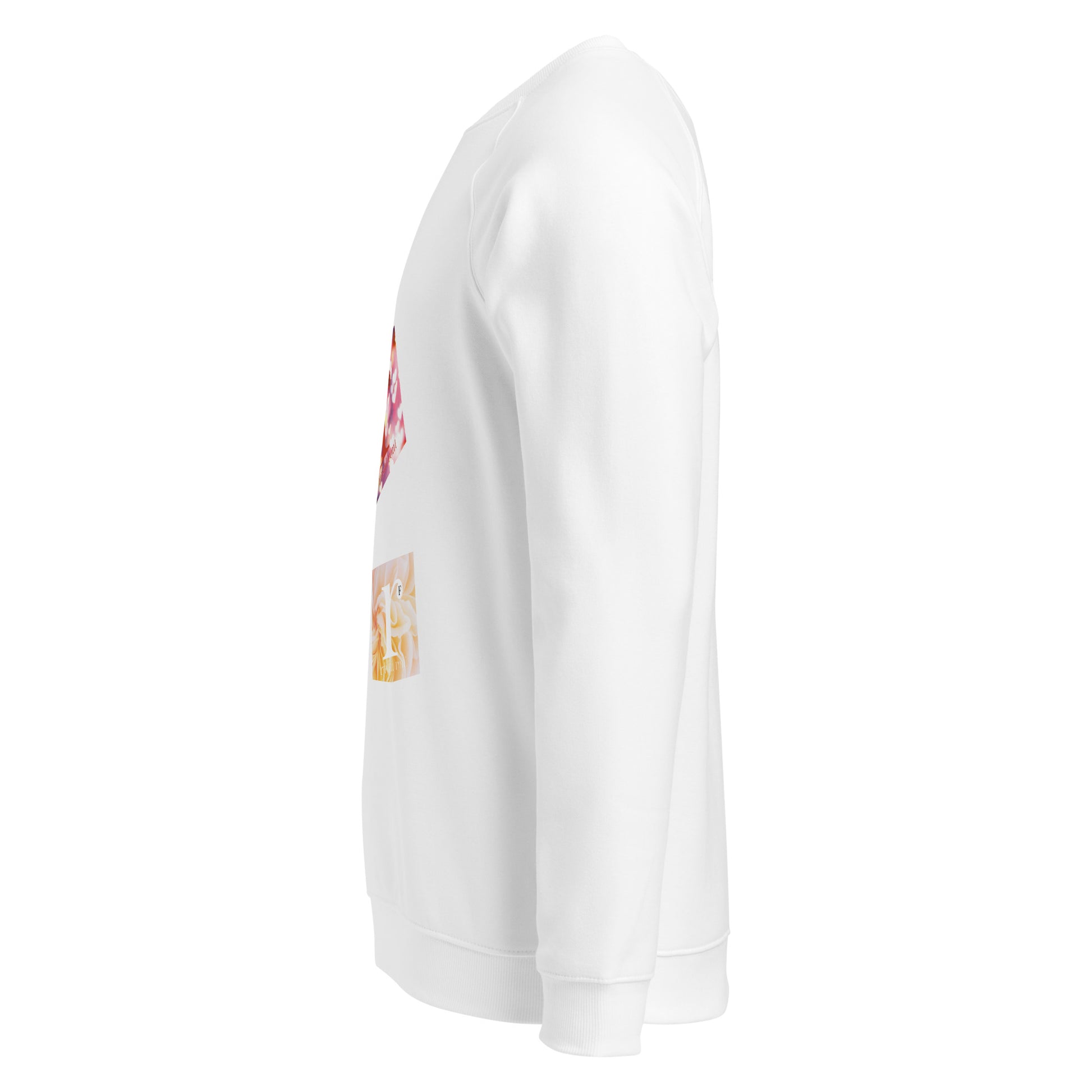 rushFront sweatshirt raglan limitededition grey white orange burgundy 